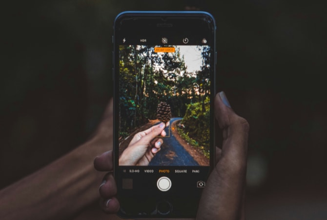 A persons hand holding a smartphone taking a photo of a pinecone on a forest path