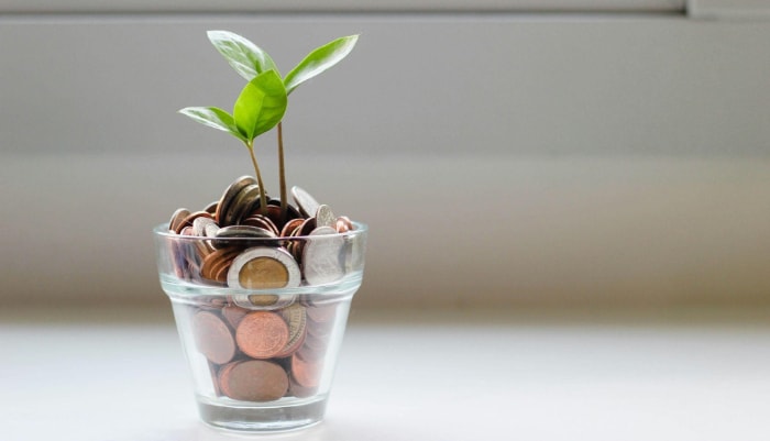 A plant growing in a glass full of coins