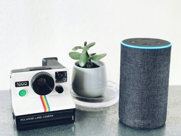 Amazon Echo speaker beside Polaroid camera and succulent