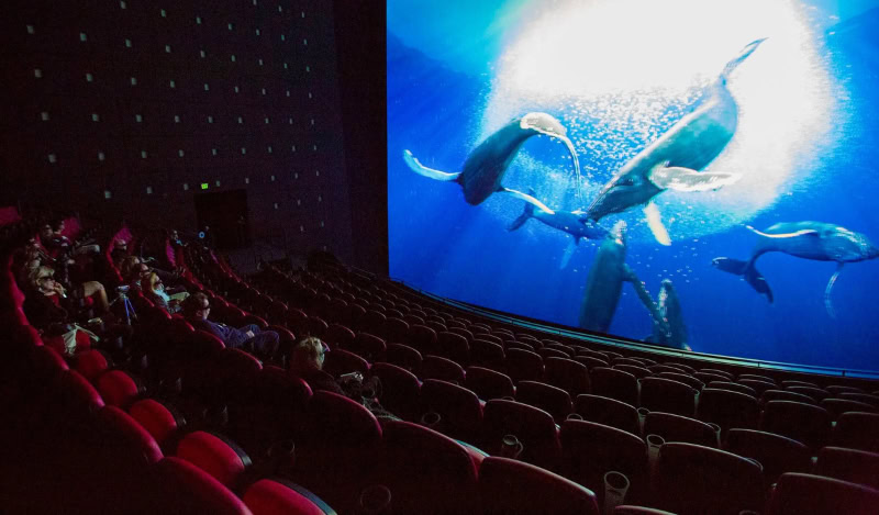 Audience watching a movie on a giant IMAX screen
