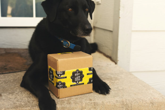 Black dog next to custom printed shipping
