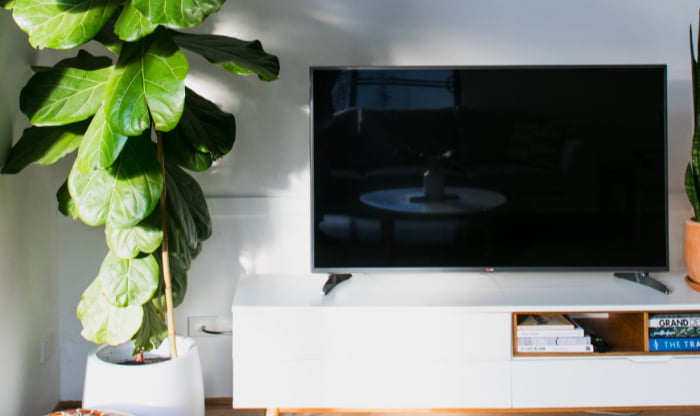 Black smart TV beside green plant