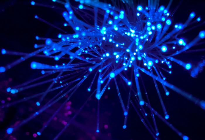 Blue fiber optic cables glowing on dark background
