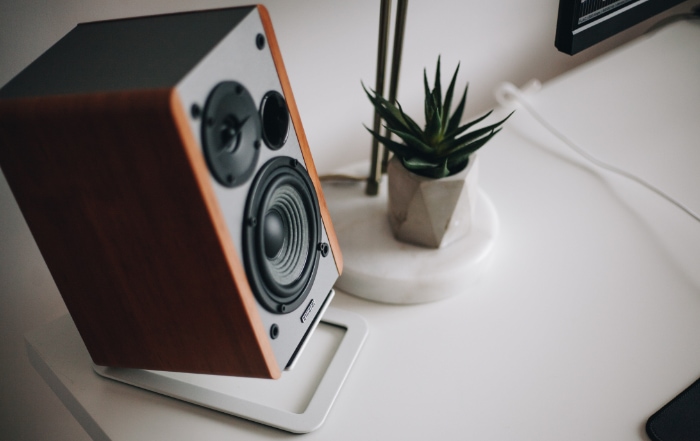 Bookshelf speaker on white desk with plant