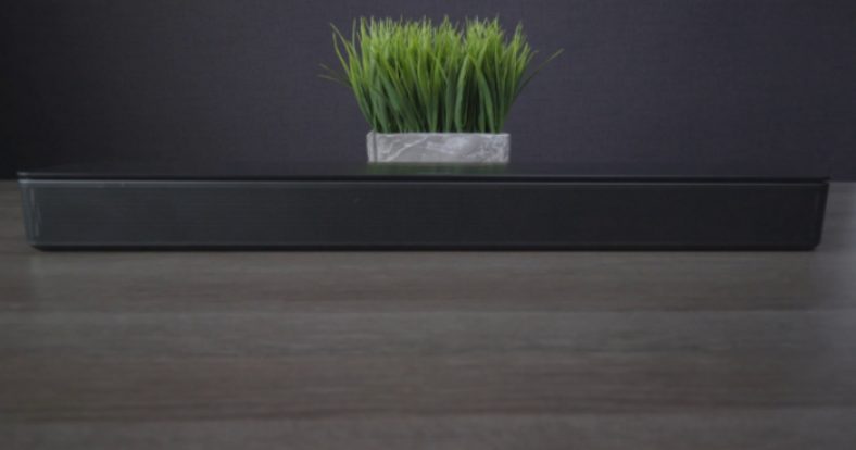 Black Bose TV Speaker near green plant on wooden table
