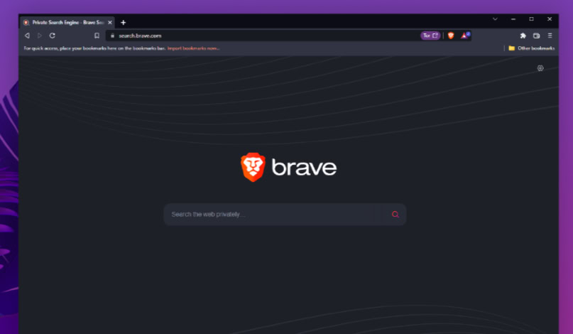 Brave search page emphasizing private no tracking search