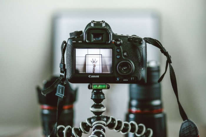 Canon DSLR camera set up on a tripod showing subject