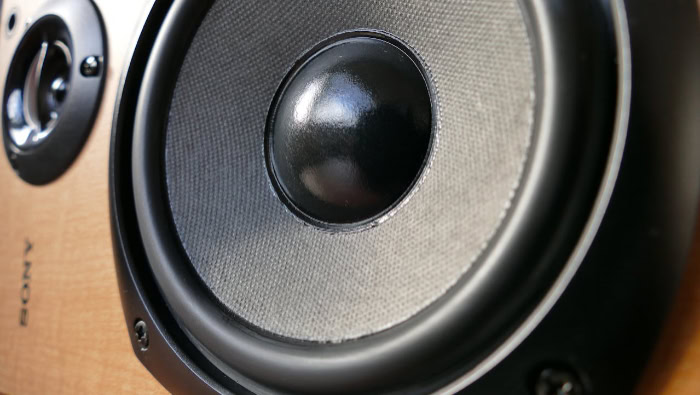 Close up of a Sony speaker woofer