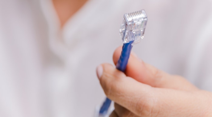 Close up of a hand holding a blue Ethernet cable