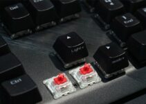 Cherry MX Brown vs. Red Switches: What’s Your Type?