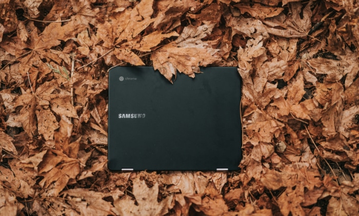 Closed Chromebook on a bed of autumn leaves