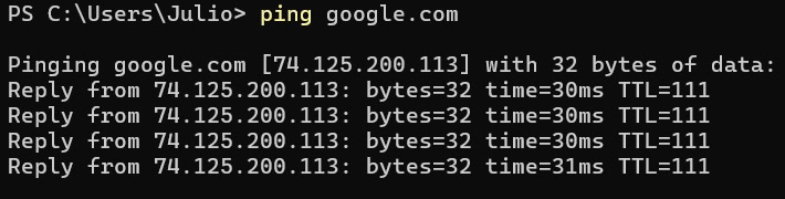 Command line ping test results for google