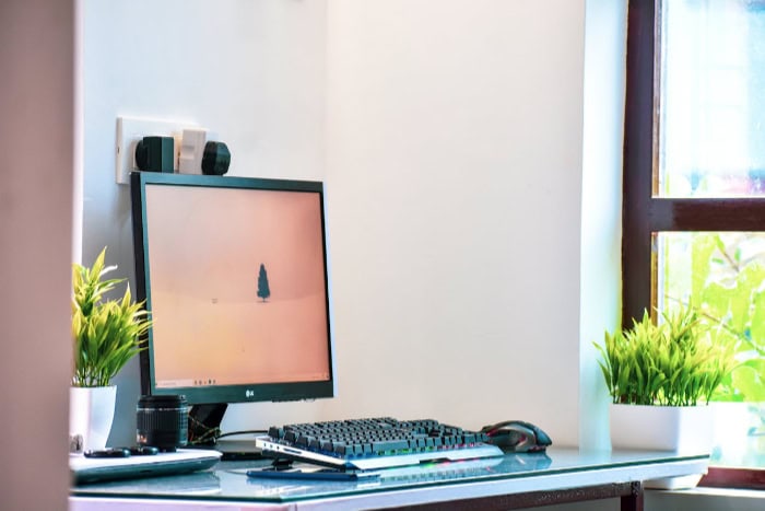 Desktop setup with monitor keyboard and plants near a window