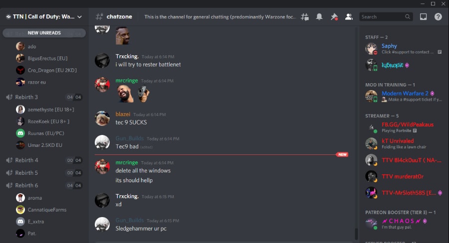 discord or teamspeak