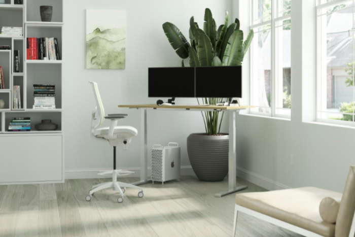 Dual monitor standing desk setup in office