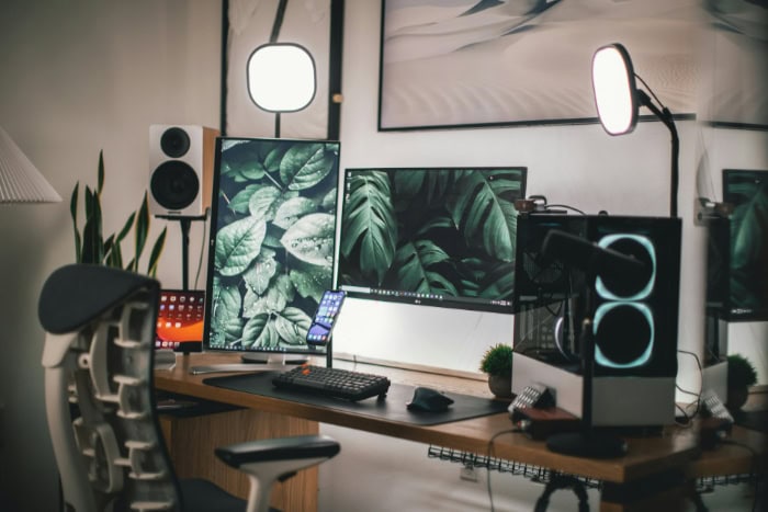 Dual monitors with leafy screens in a home office setup