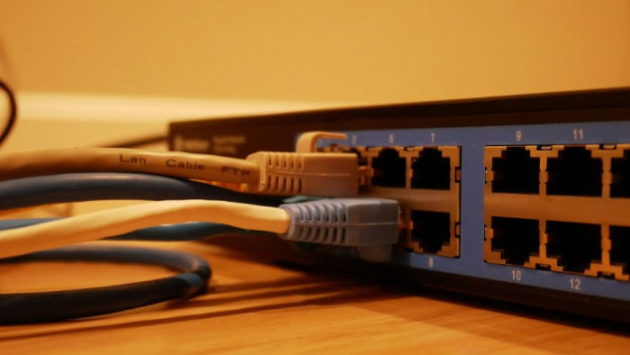 Ethernet cables plugged into network switch ports