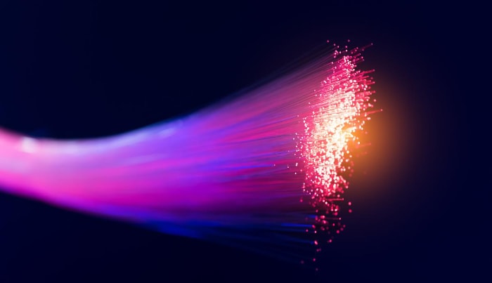 Fiber optic light