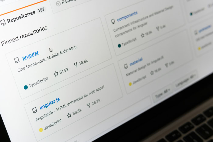 GitHub profile screen displaying pinned Angular repositories
