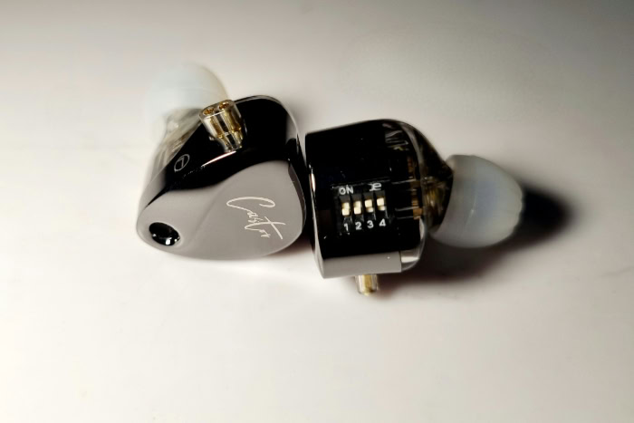 Glossy black IEMs with custom ear tips displayed