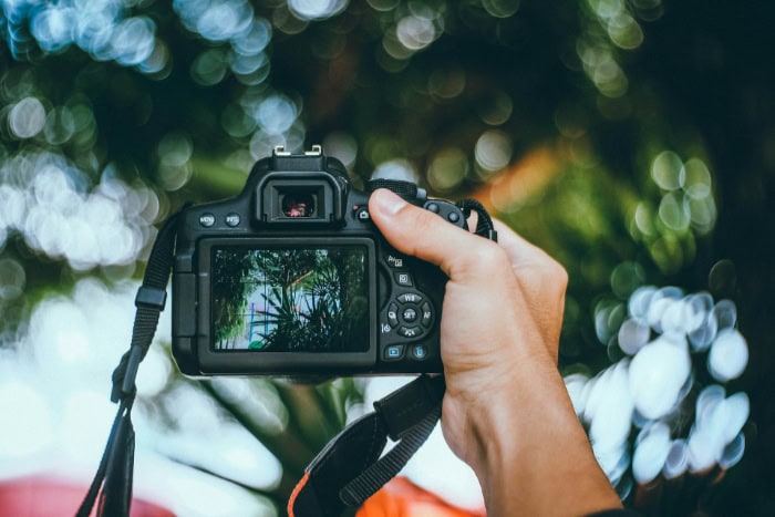 Hand holding DSLR camera capturing nature scene with bokeh background