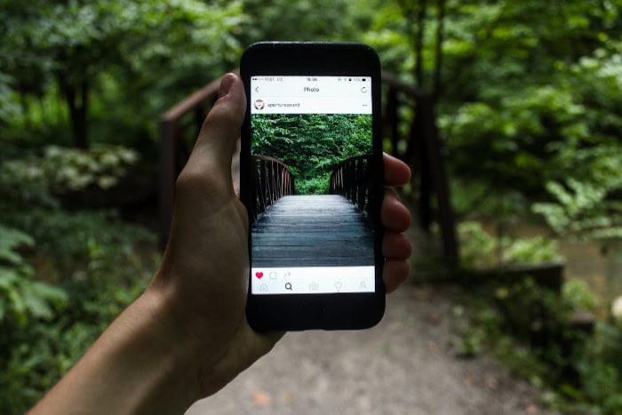 Hand holding phone displaying nature photo on Instagram