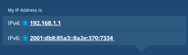 IPv4 and IPv6 address example display