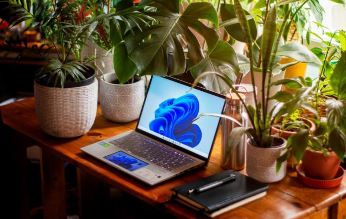 Laptop displaying Windows 11 logo surrounded by various houseplants