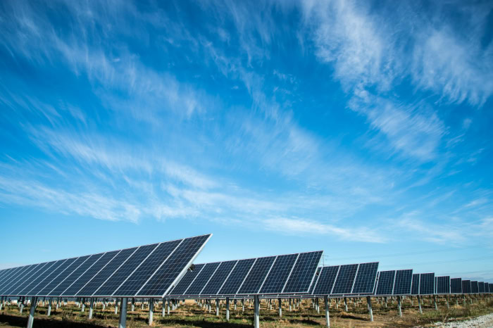 Large solar panel farm under clear blue sky