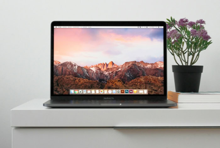 MacBook Pro on desk with mountain wallpaper and plant