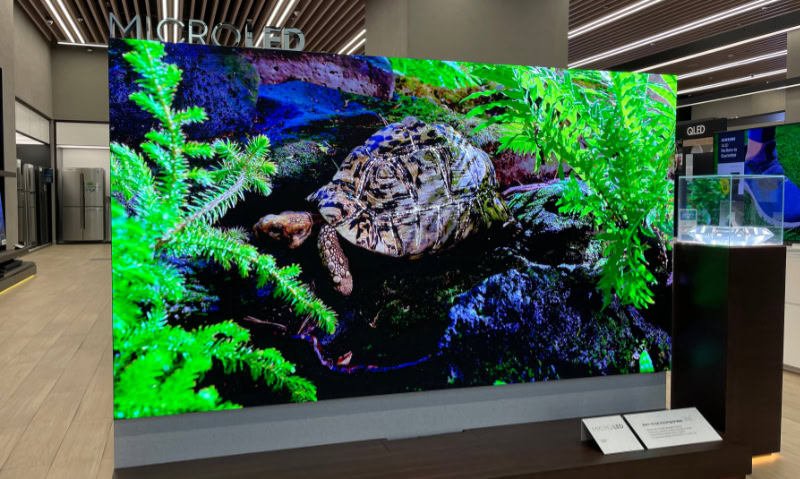 MicroLED television display showing a turtle in nature