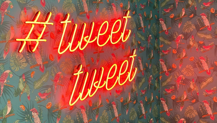 Neon tweet tweet sign over a tropical bird wallpaper background