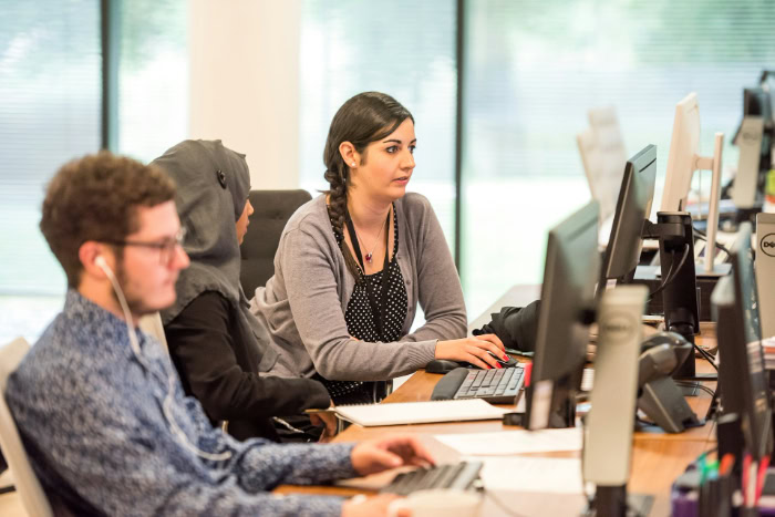 Office workers using computers at their desks