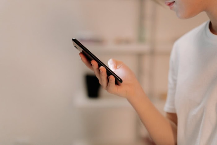 Person holding a phone while browsing online