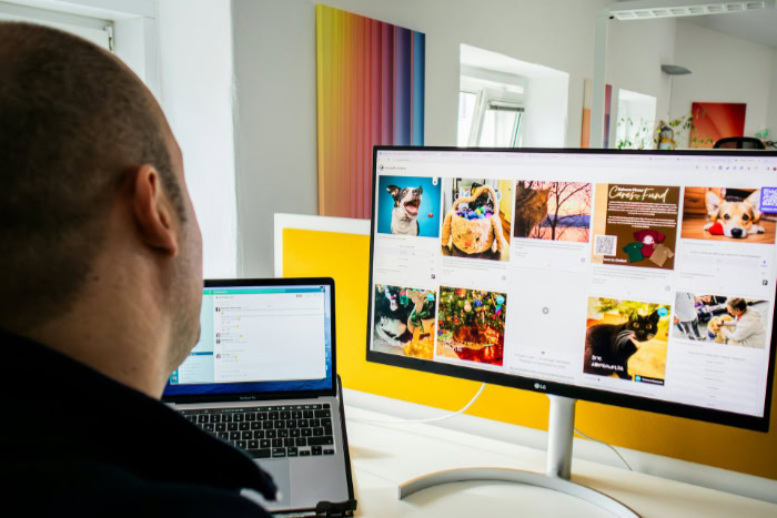 Person viewing pet photo gallery on dual computer monitors