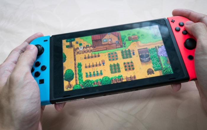 Playing Stardew Valley on Nintendo Switch