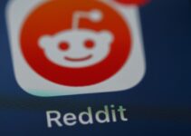 4chan vs. Reddit: Which One Should You Choose?