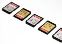 SD Card vs. Micro SD Card: What’s the Difference?