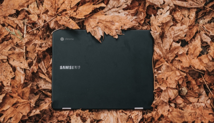 Black Samsung ChromeBook on leaves