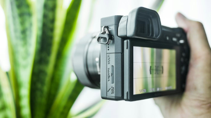 Side view of mirrorless camera showing digital screen