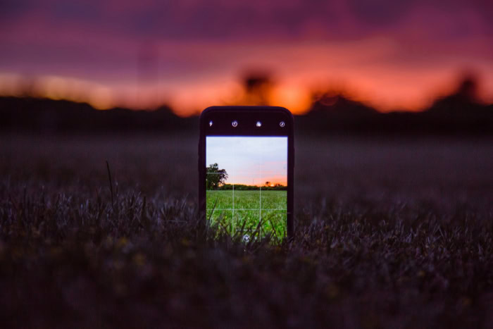 Smartphone in grass photographing sunset over open field