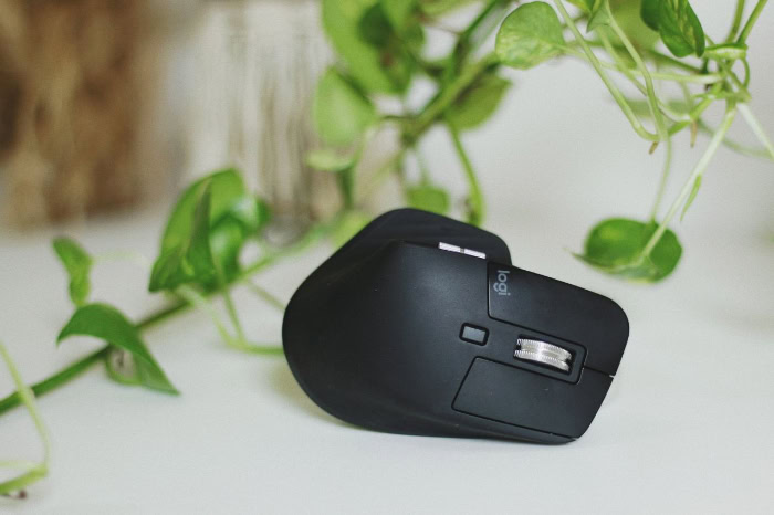 Top view of black wireless mouse next to houseplant