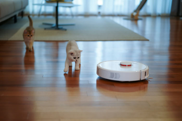 Two curious kittens following a white robot vacuum cleaner