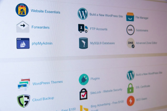 Web hosting control panel with service icons