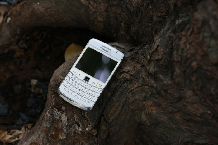 White BlackBerry smartphone resting on tree bark outdoors