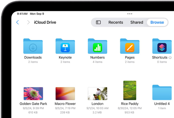 iCloud Drive file browser interface on an iPad